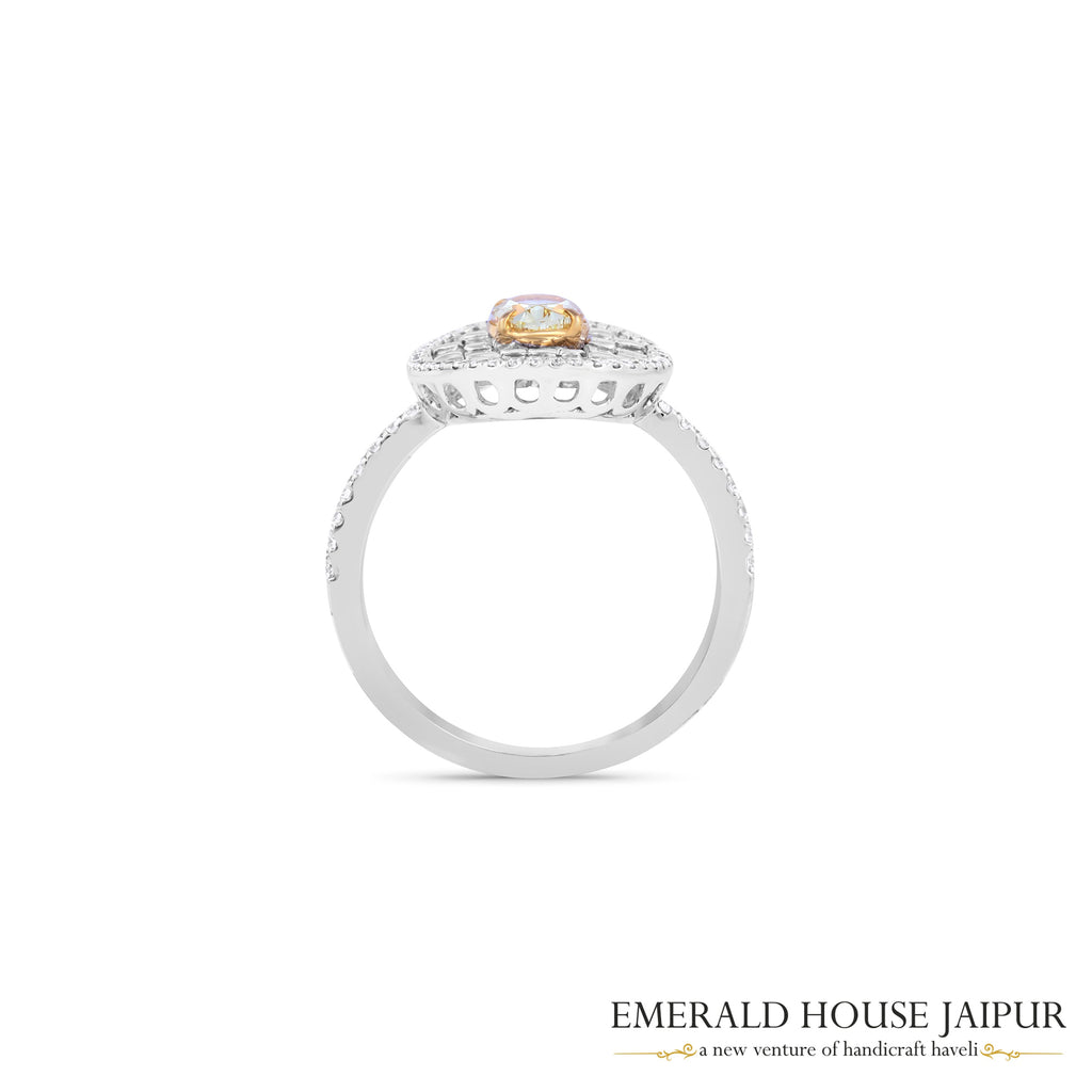 IMG 5186